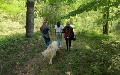 Con Jamila e con Enrico gli alberi svelano molti dettagli vividi