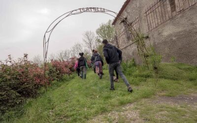 Nel bosco dietro casa, per un sentiero che ancora non c’è