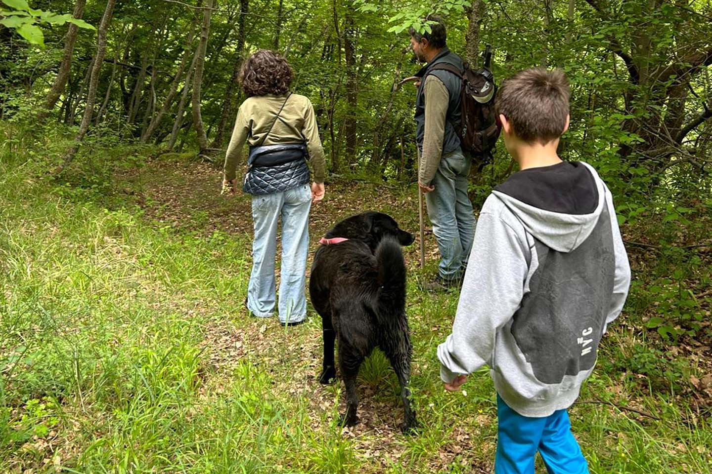 jamila nel bosco rilassante cani