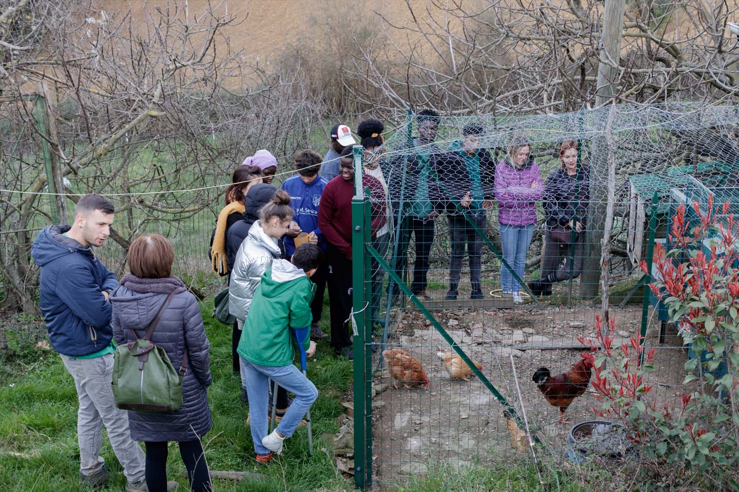 oasi ragazzi animali lezione